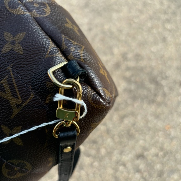 Louis Vuitton Palm Spring Mini Backpack - Picture 10 of 15
